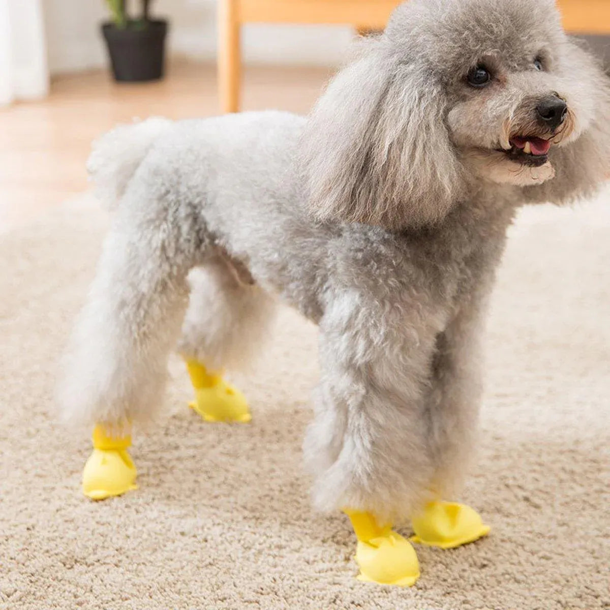 Premium Cartoon Pet Rain Boots 4pcs Waterproof Non-Slip - Blue S