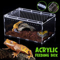 Premium Clear Acrylic Reptile Terrarium with Slide Lid - 30 x 20 x 15cm