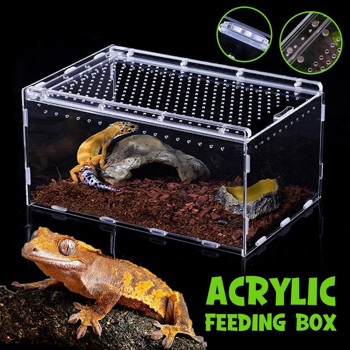 Premium Clear Acrylic Reptile Terrarium with Slide Lid - 30 x 20 x 15cm