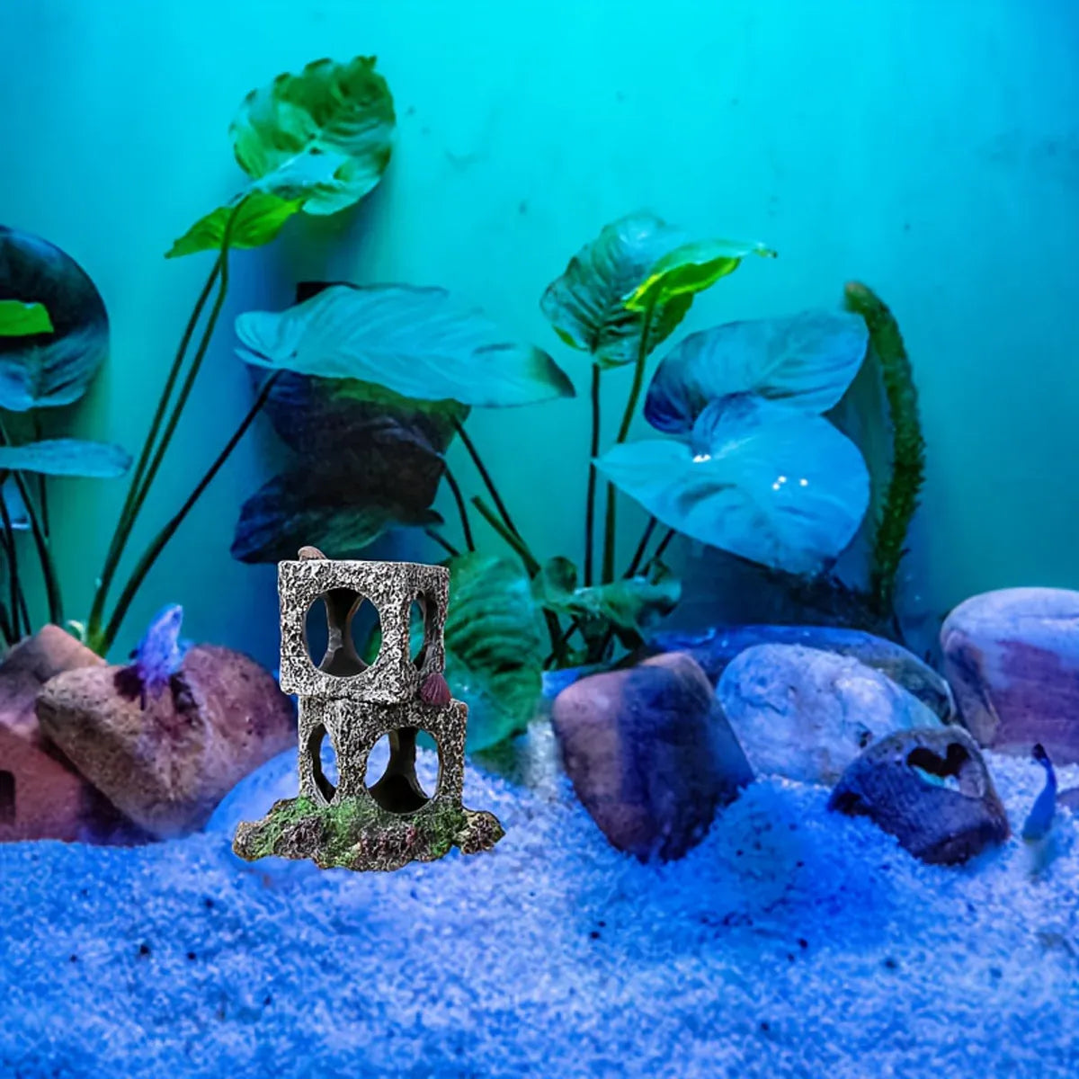 Premium Fish Tank Shrimp Shelter Stone Cave - 3 Squares