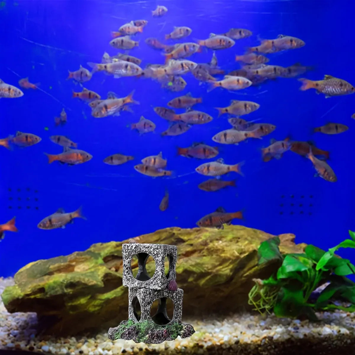 Premium Fish Tank Shrimp Shelter Stone Cave - 3 Squares