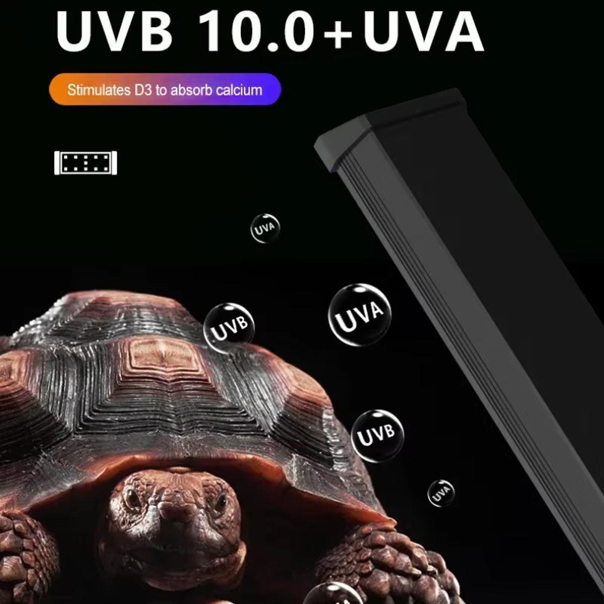 Reptile UVB LED Lamp 4W - Adjustable UVB & UVA, Timer Function, Durable Design