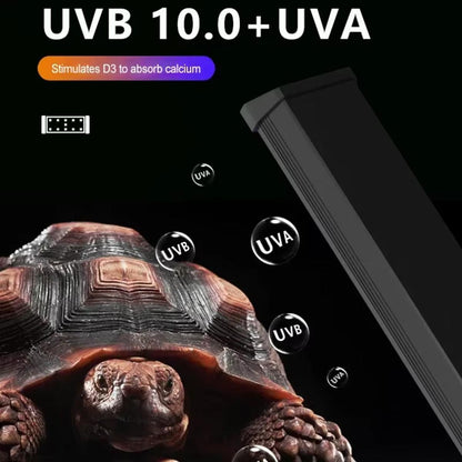 Reptile UVB LED Lamp 4W - Adjustable UVB & UVA, Timer Function, Durable Design