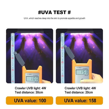 Reptile UVB LED Lamp 4W - Adjustable UVB & UVA, Timer Function, Durable Design