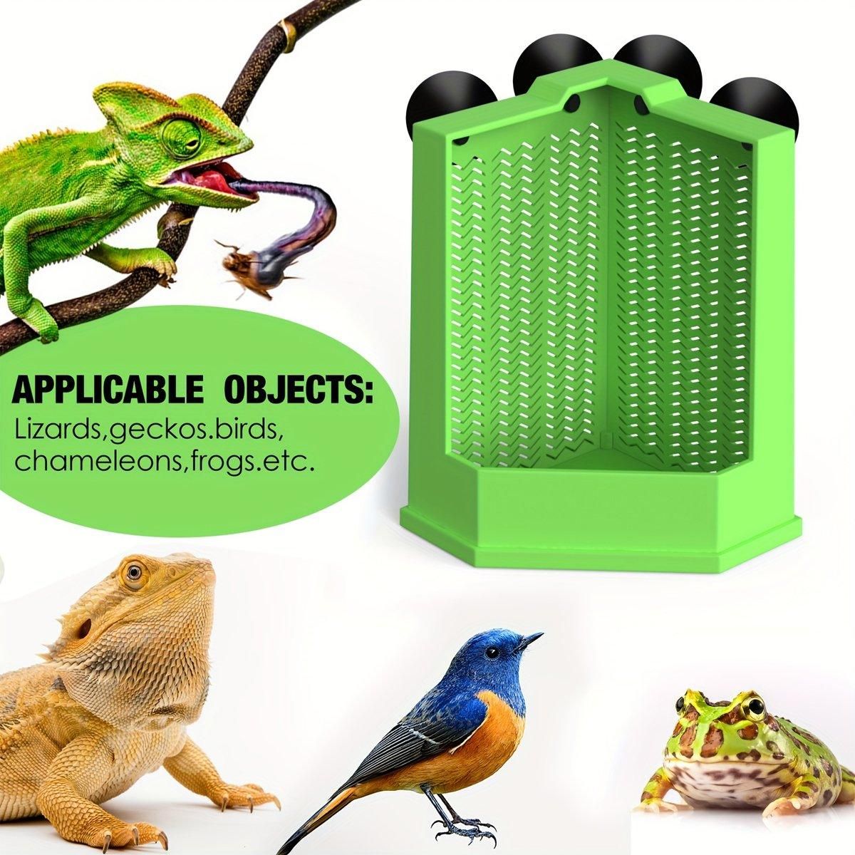 Premium Reptile Hunting Dish with Suction Cups - Green L