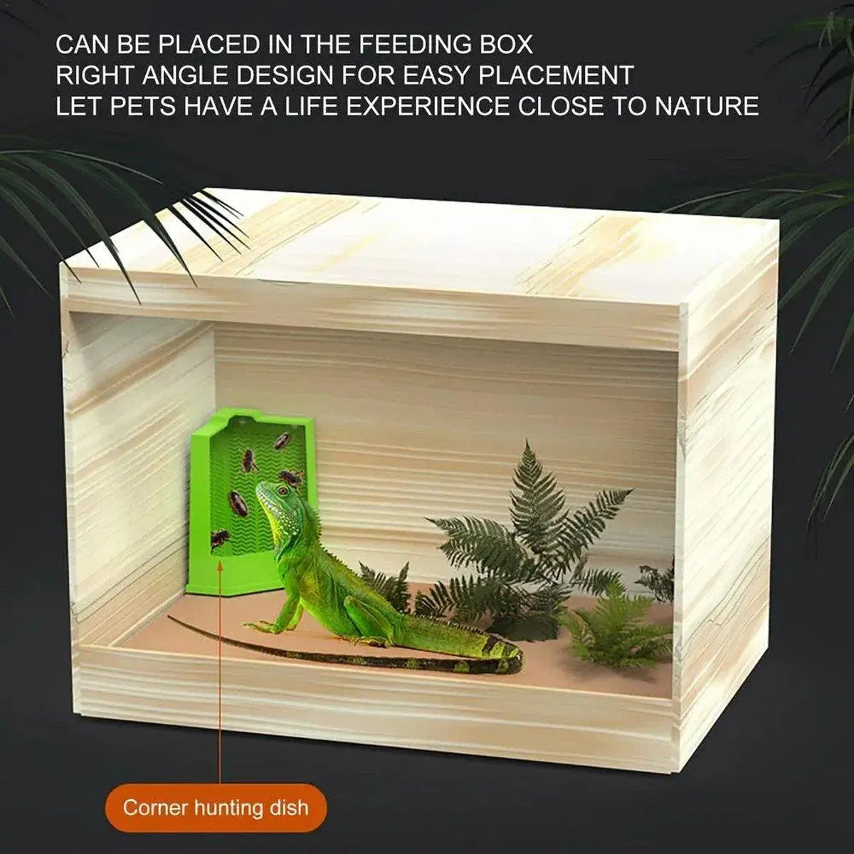 Premium Reptile Hunting Dish with Suction Cups - Green L