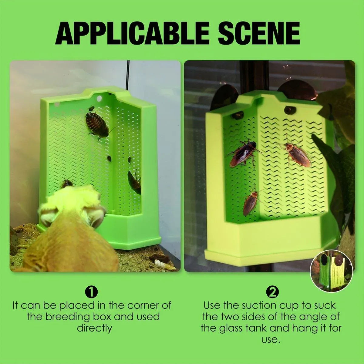 Premium Reptile Hunting Dish with Suction Cups - Green L