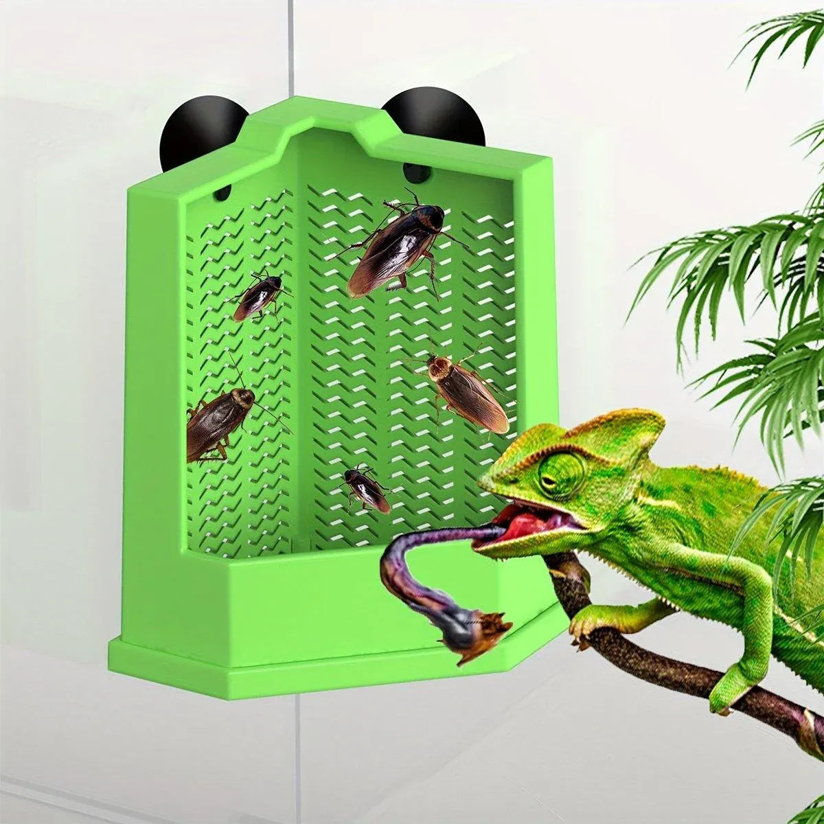 Premium Reptile Hunting Dish with Suction Cups - Green L