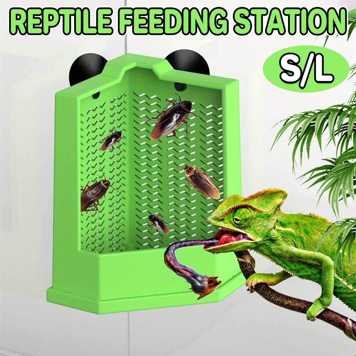 Premium Reptile Hunting Dish with Suction Cups - Green L