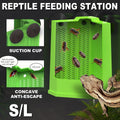 Premium Reptile Hunting Dish with Suction Cups - Green L