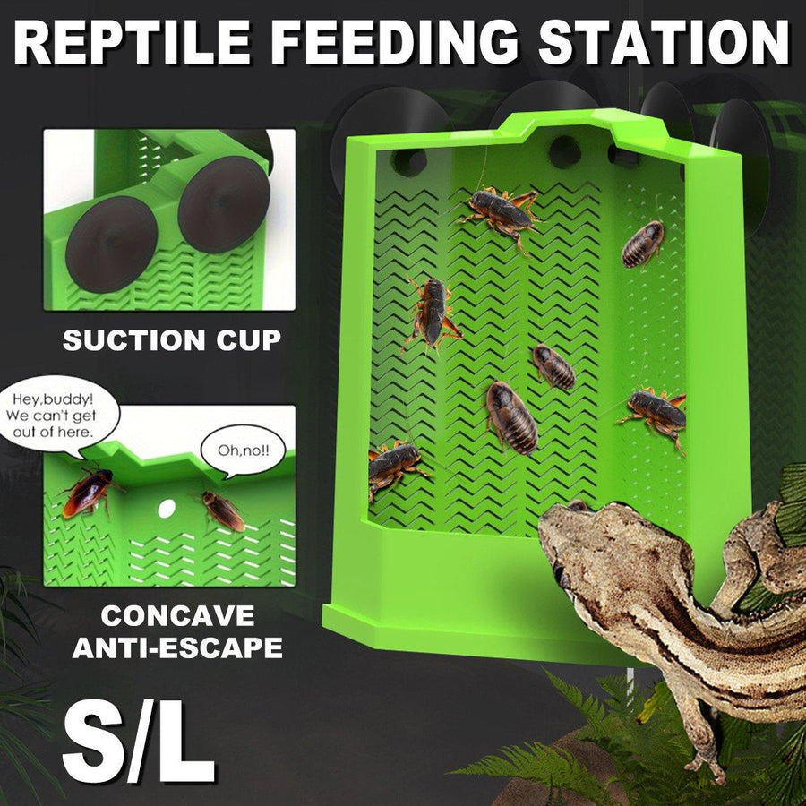 Premium Reptile Hunting Dish with Suction Cups - Green L
