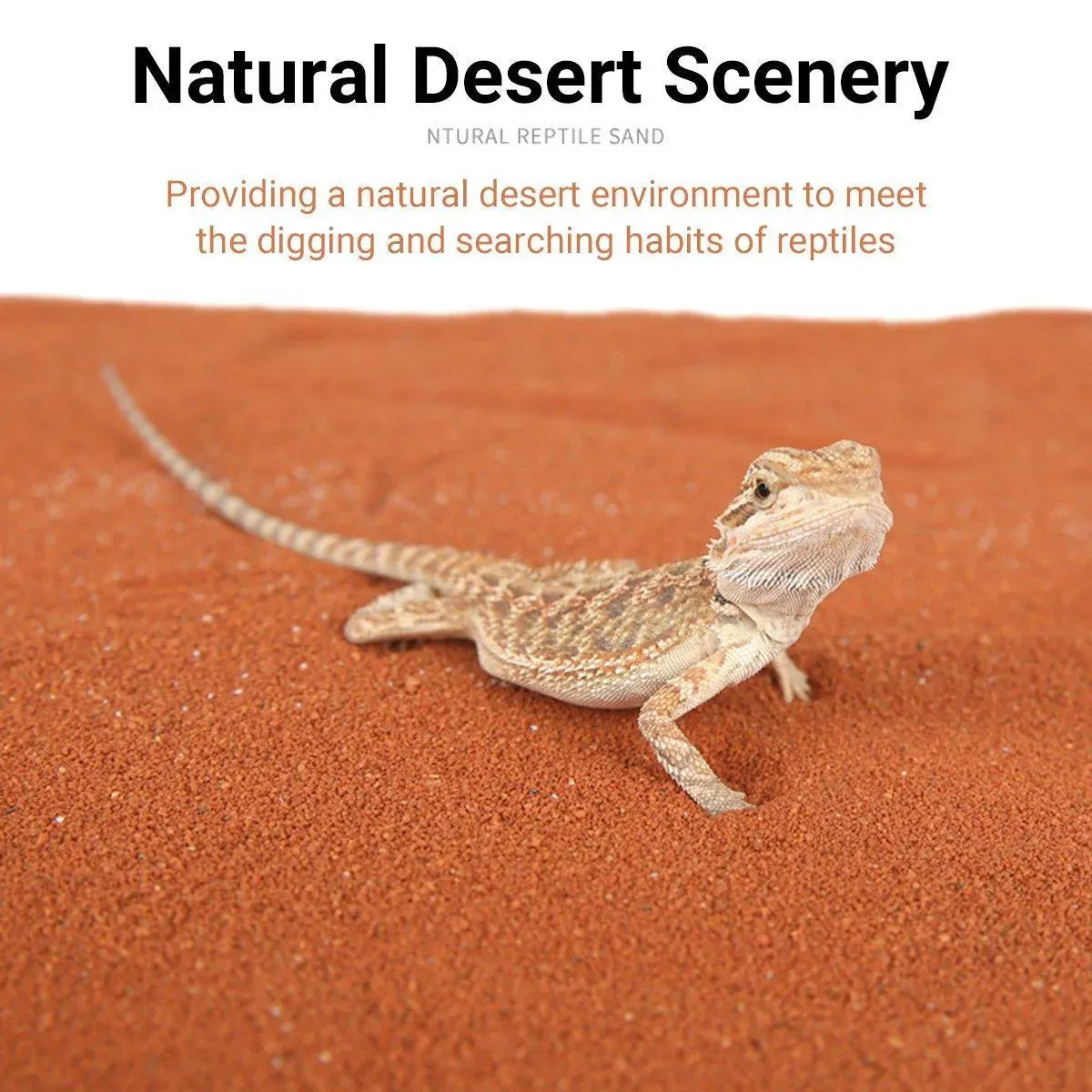 Premium Calcium-Rich Reptile Sand - Yellow 1.8kg
