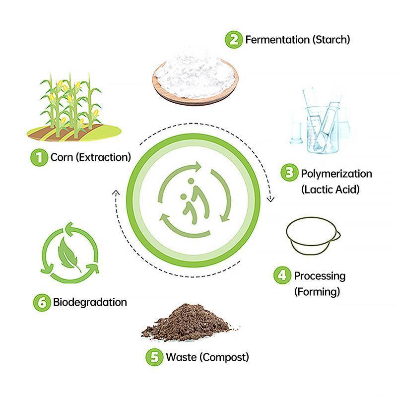 Biodegradable Corn Starch Lunch Box 900ml - Eco-Friendly, Microwaveable, 50PCS