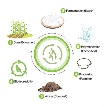 Biodegradable Corn Starch Lunch Box 900ml - Eco-Friendly, Microwaveable, 50PCS