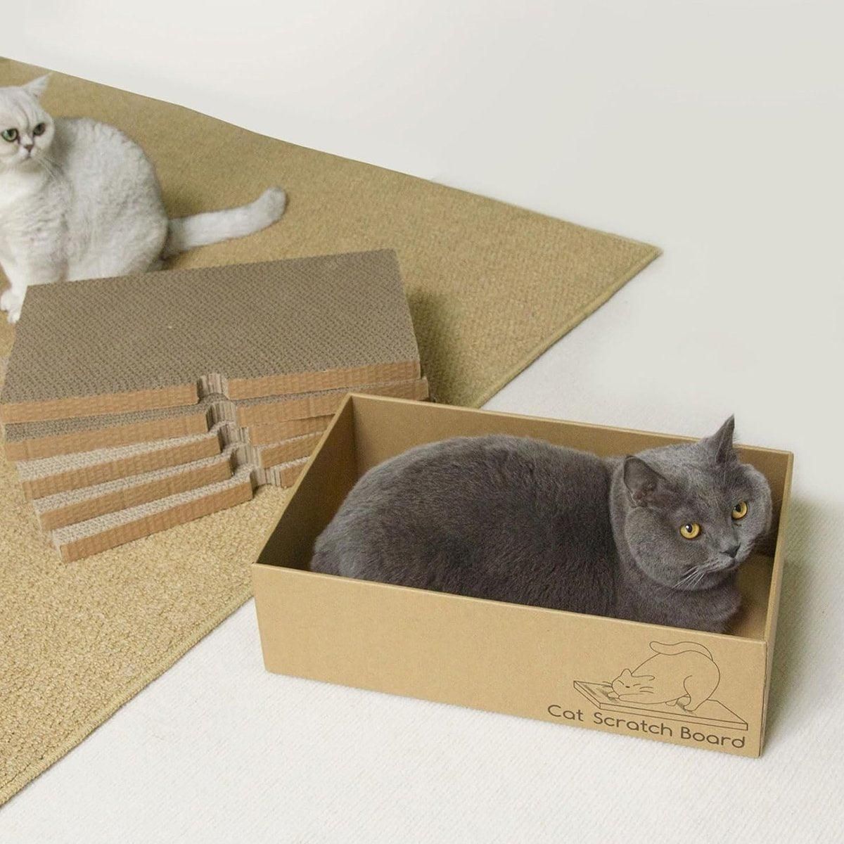 Premium Corrugated Cardboard Cat Scratcher Set with Play Hole