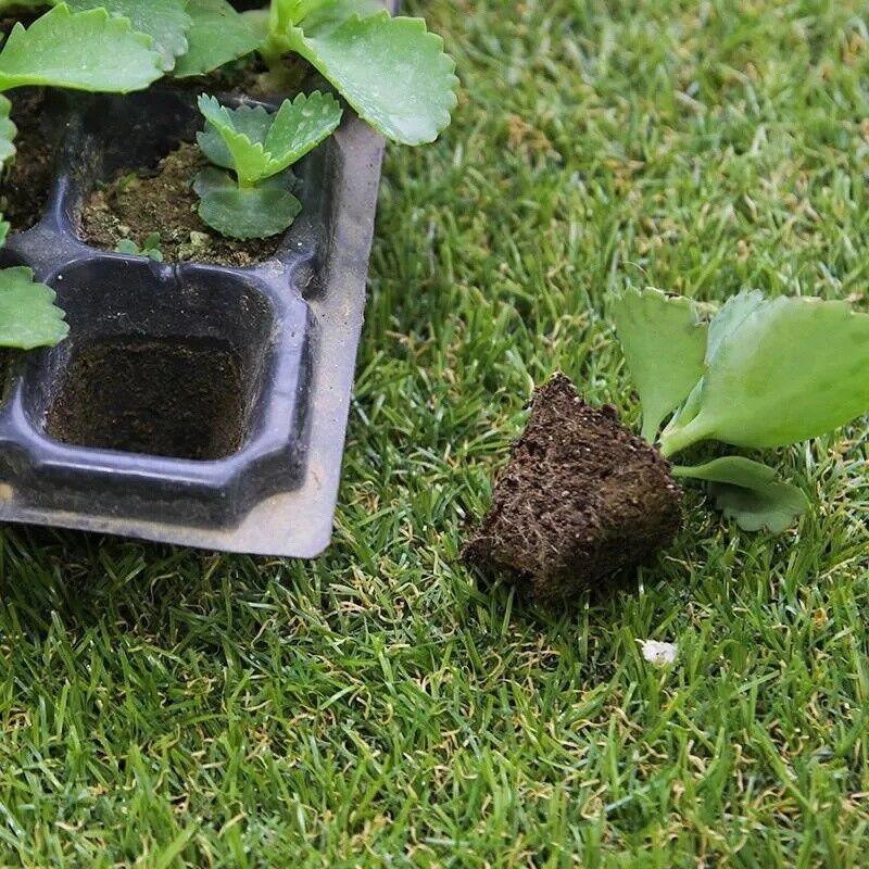 72-Cell Seedling Trays - 54x28x4 cm, Durable PVC, Reusable, Perfect for Vegetables - SuperSaverAU - view 4