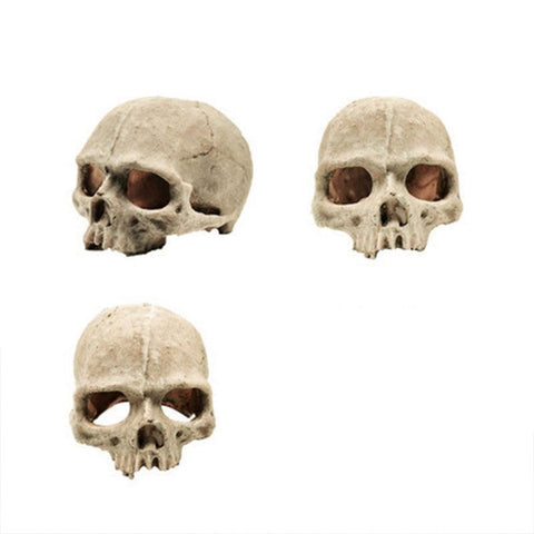Premium Resin Skull Aquarium Ornament Decoration - Hat