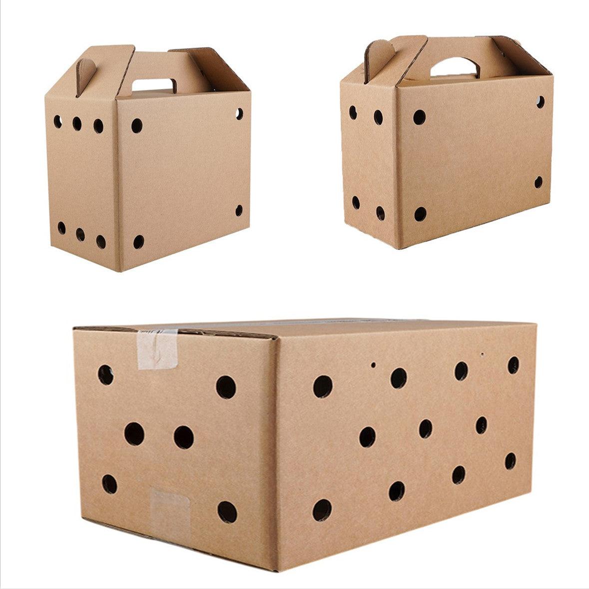 Premium Disposable Cardboard Pet Carriers 10pcs - 38 x 28 x 24cm