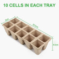 Biodegradable Paper Pulp Cup Garden Plant Nursery Tray - 250x 10Grids, 20.5x8x4.5cm - SuperSaverAU - view 3