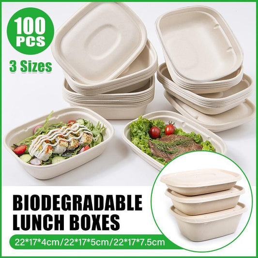 Food Preparation Storage Box - 100 pcs, 1300ml, Disposable Bento