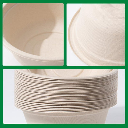 250PCS Disposable Bento Boxes - Food Preparation, 750ml, Primary Color