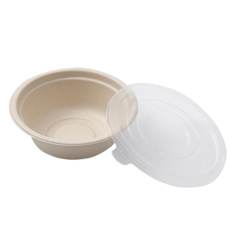 250PCS Disposable Bento Boxes - Food Preparation, 750ml, Primary Color - SuperSaverAU - view 7