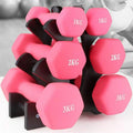 Premium 3-Tier Dumbbell Storage Tree Rack with 20kg Load Capacity - Black