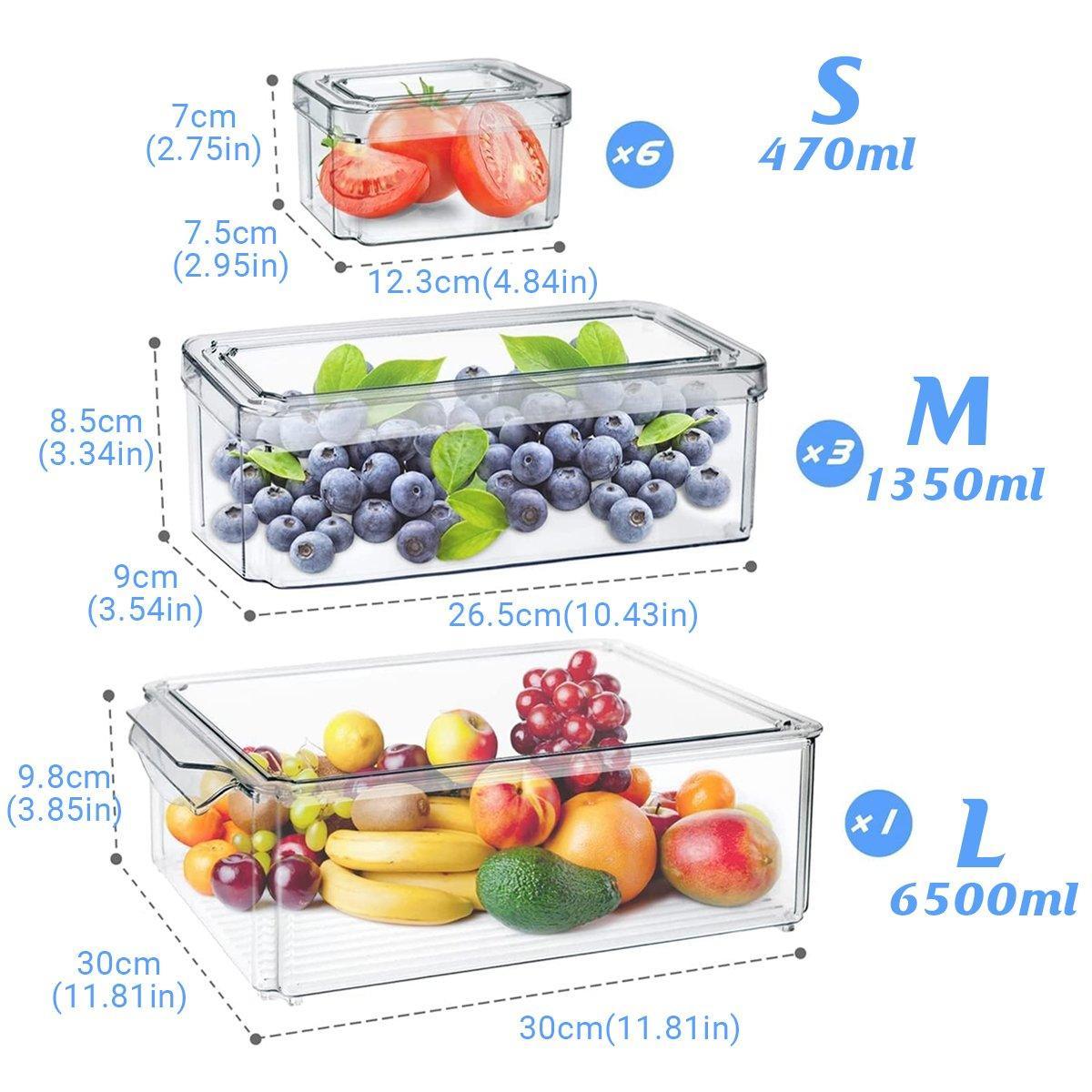 10PCS Clear PET Food Storage Box Set - Refrigerator Organizer
