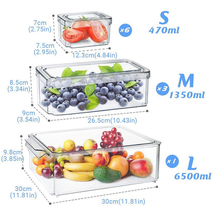 10PCS Clear PET Food Storage Box Set - Refrigerator Organizer