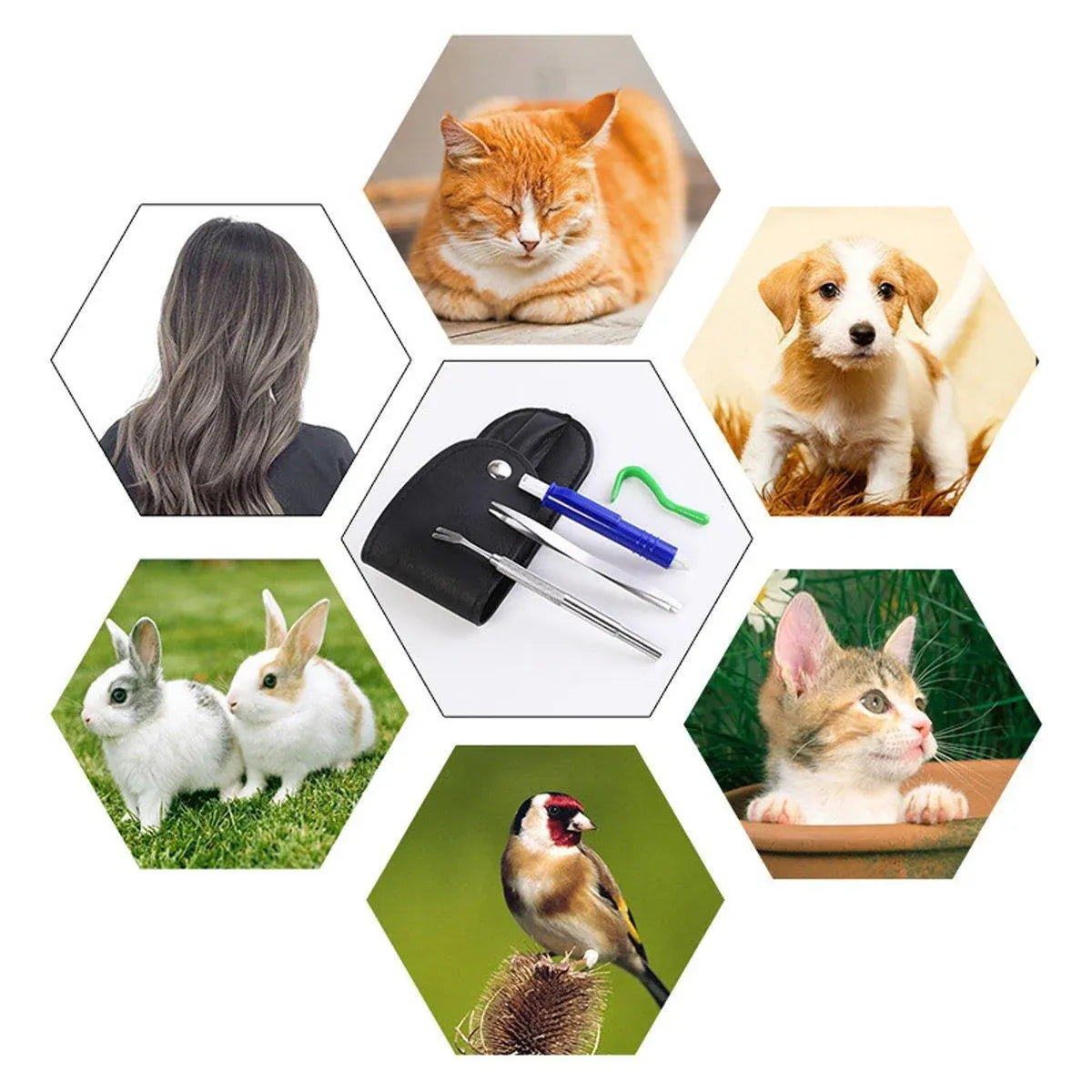 Premium 5 Piece Pet Flea & Tick Removal Tool Set with Carry Pouch