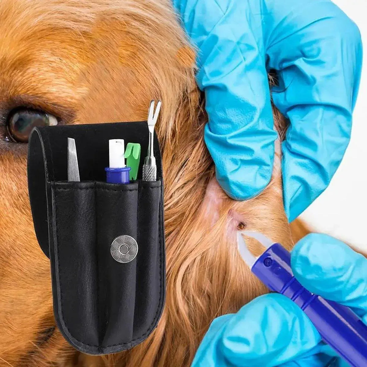 Premium 5 Piece Pet Flea & Tick Removal Tool Set with Carry Pouch