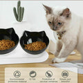 Premium Clear Double Elevated Cat & Dog Bowl with 15° Tilt