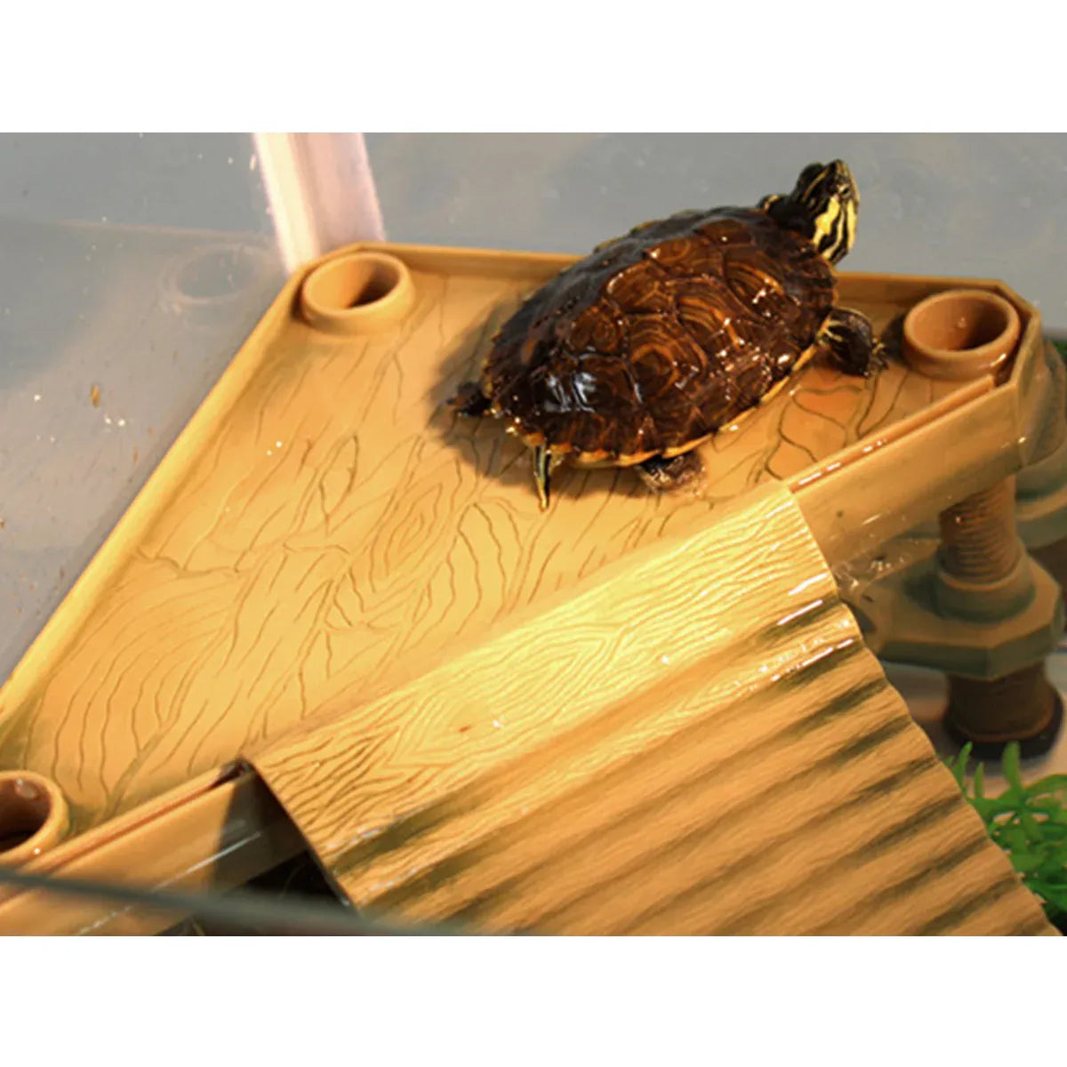 Premium Floating Turtle Basking Platform with Ramp