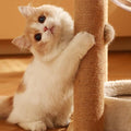 Premium Sisal Cat Scratching Post Replacement Poles - 20cm 2pcs