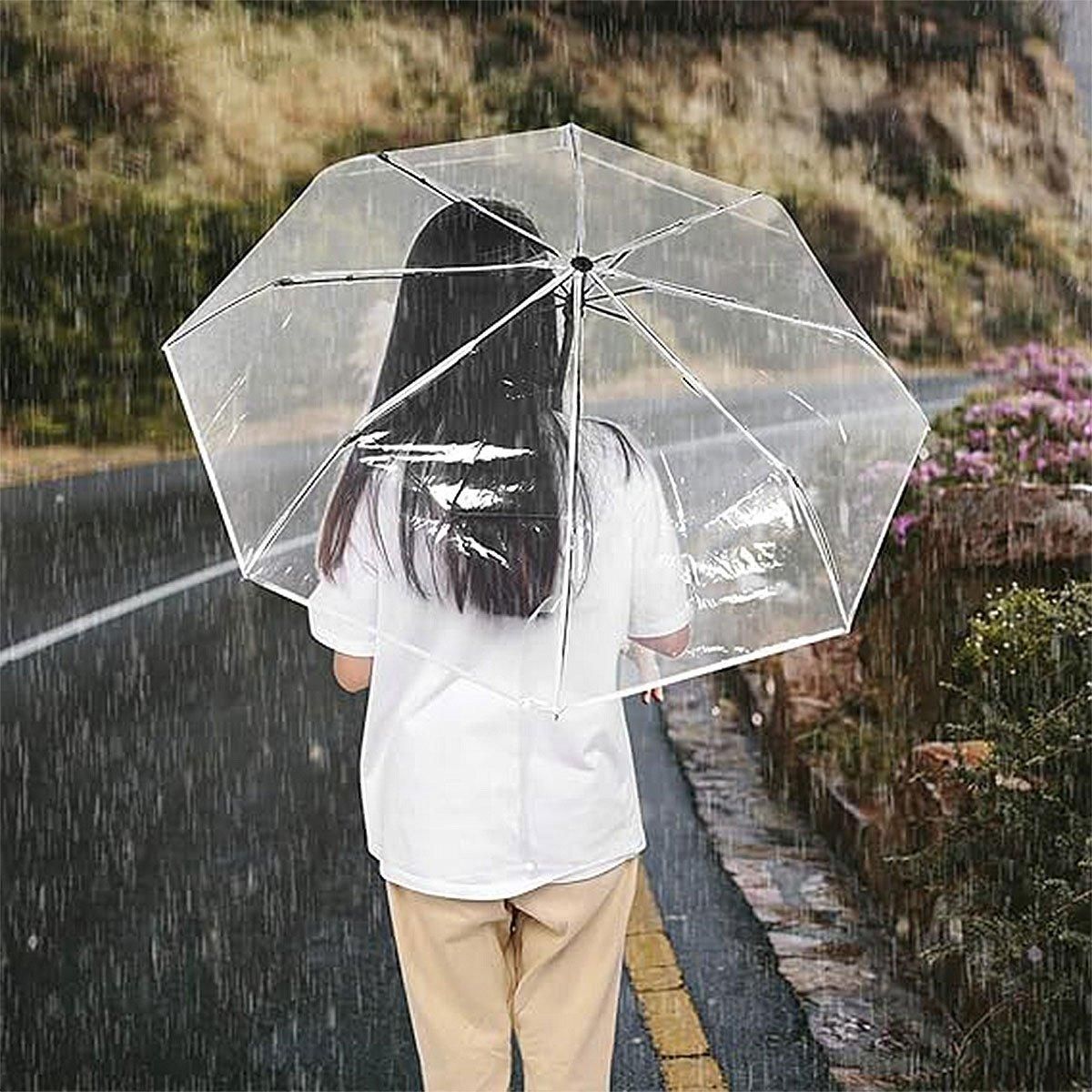 Premium Manual Transparent Folding Umbrella – Pink