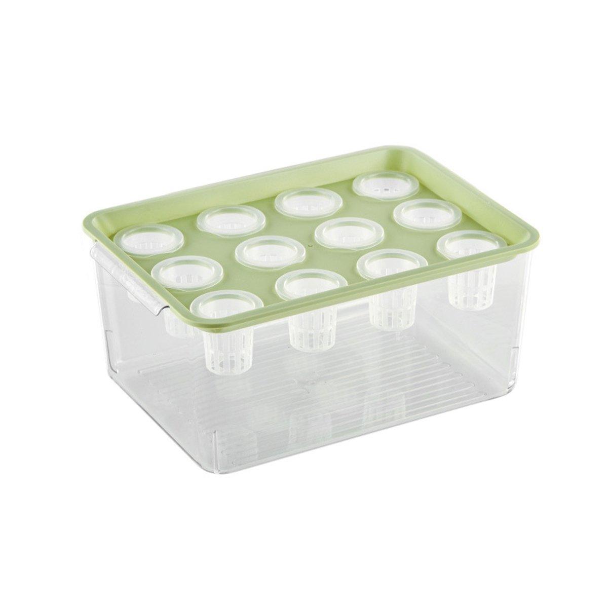 Transparent Rectangular Aquarium 12Hole Lid Portable Hydroponic Plant Fish Tank - Green - SuperSaverAU - view 4