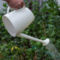 Premium Long Spout Watering Can – Grey 1.8L with Sprinkler Head