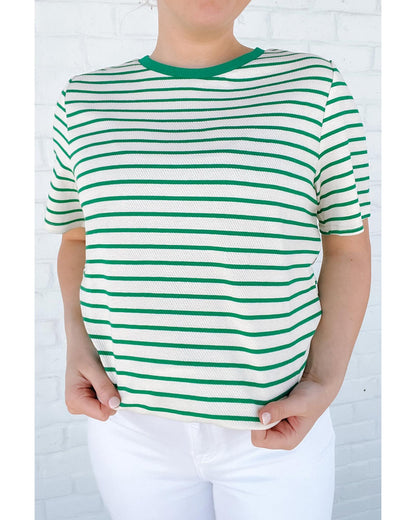 Green Stripe Plus Size Round Neck T-Shirt - 4X