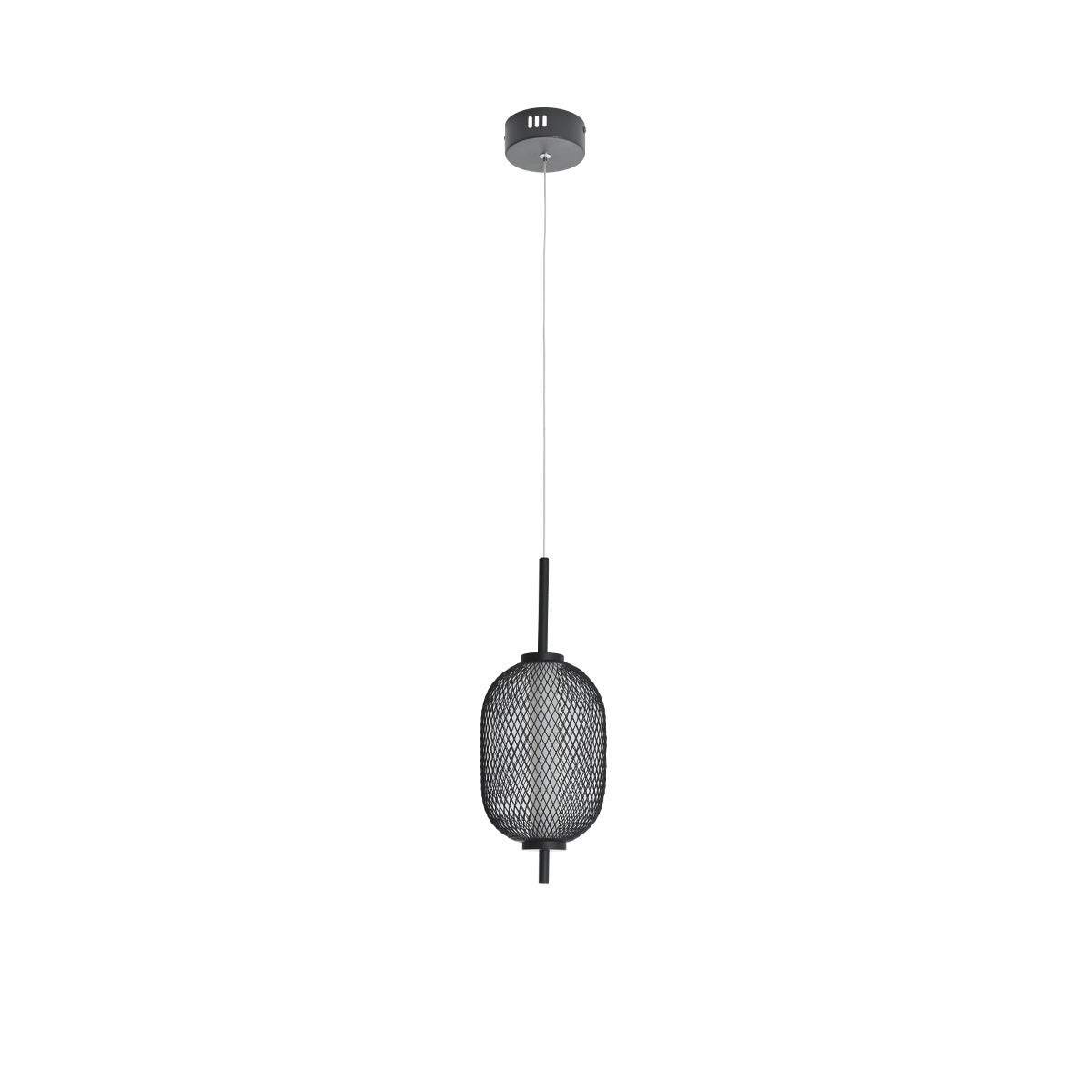 Lexi Lighting Balvir Metal LED Pendant Light 4W - Black
