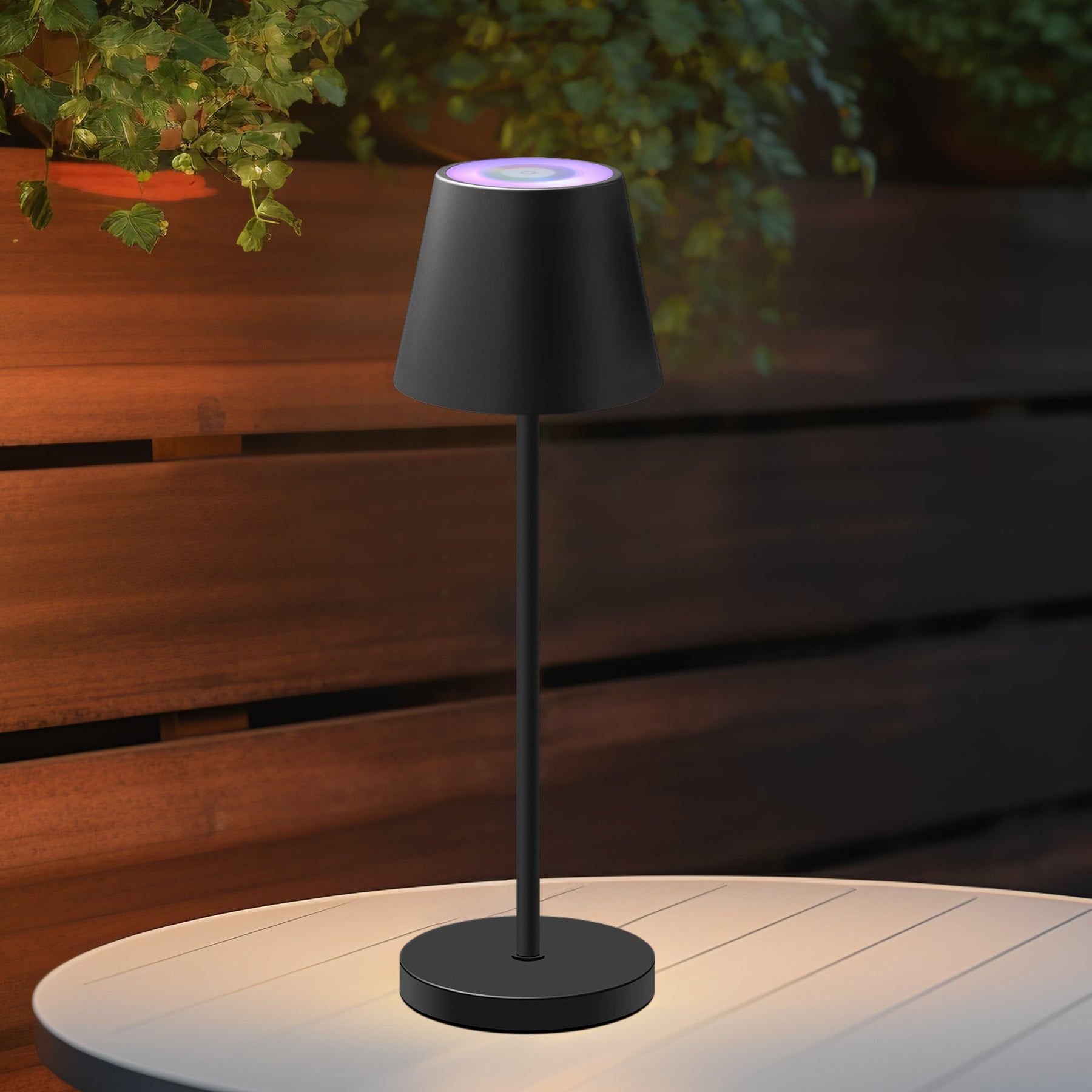 Lexi Lighting Enoki Portable RGB Table Lamp with Touch Dimmer - Black