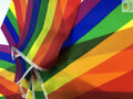 Premium Rainbow Bunting Flag Party Banner - 3.6m