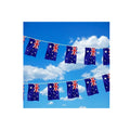 7m AUSTRALIA BUNTING FLAG Australian Day Colours Party Banner Flags Decor - SuperSaverAU - view 3