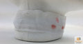 VAMPIRE BITE CHOKER for Halloween Costume Dress Up Horror Fake Blood Bandage - SuperSaverAU - view 2