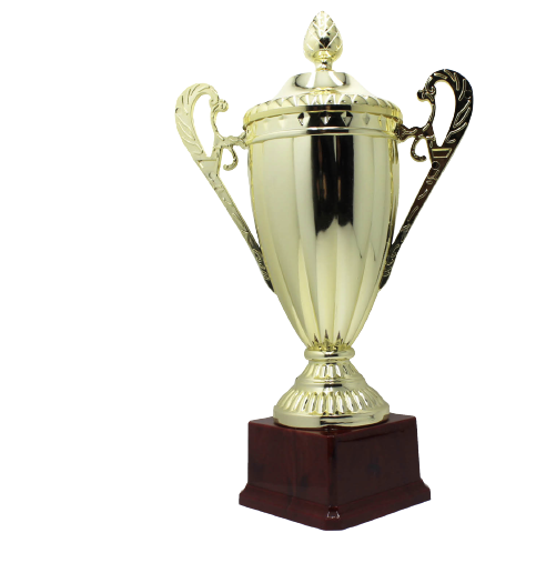 Premium Large Classic Gold Trophy Cup with Heavy Base - 31cm