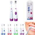 SENSLY Dual Battery Electric Toothbrush Assorted Colours Adult Oral Care
