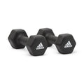 Adidas Neoprene Coated Dumbbells Pair with Cast Iron Core - 3kg