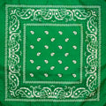 Premium Paisley Cotton Bandana - Dark Green, 54 x 54cm