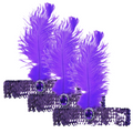 Premium 1920s Flapper Headbands with Feather - Purple, 3 Pack