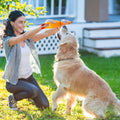 Premium Shrilling Chicken Dog Chew Squeeze Sound Toys - 3 Pack