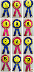 Premium Birthday Badge Rosette with Ribbon - 8th Birthday